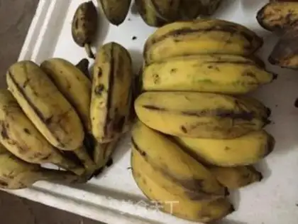 Make Banana wine step 0