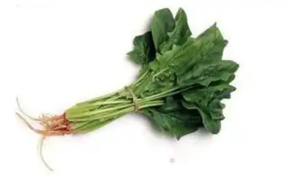 Make Spinach juice step 0