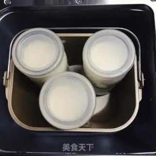 Make Homemade yogurt step 4
