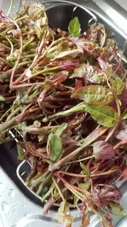 Make Pickles step 1