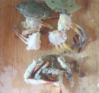 Make Crab onions step 1