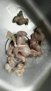 Make Ducks and wood step 6