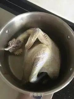 Make White pheasant step 0