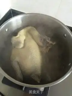 Make White pheasant step 1