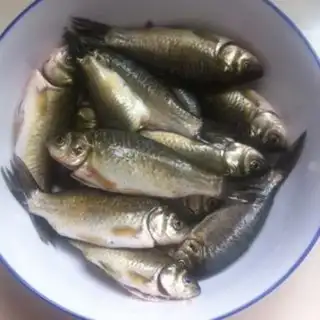 Make A fish pot step 0