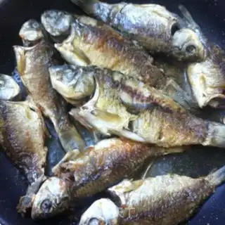 Make A fish pot step 1