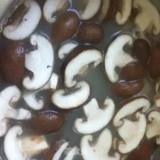 Make A fish pot step 6