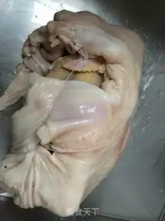 Make Pig belly step 0