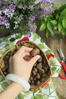 Make Take off the chestnut skin step 1