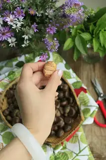 Make Take off the chestnut skin step 3