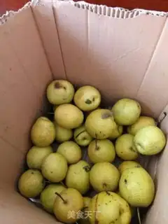 Make Sugar pear can step 1