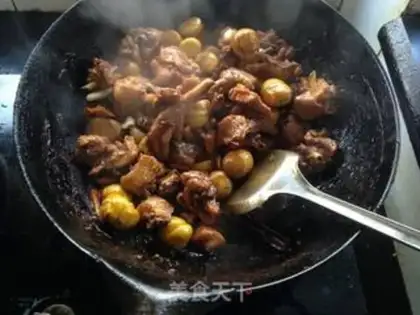 Make Chicken step 11
