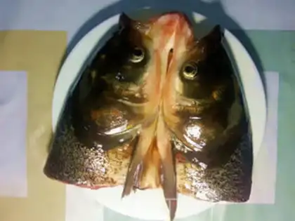 Make Hunan chopping fish head step 4