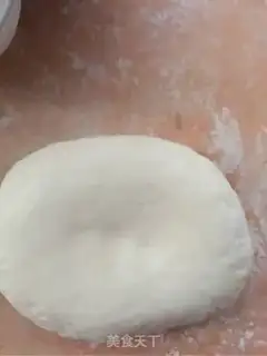 Make Pork dumplings step 0