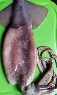 Make Soy sauce squid step 0