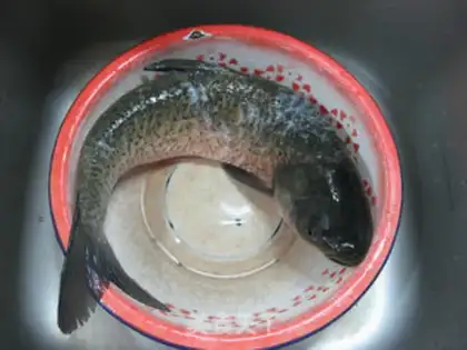 Make Strawfishballs step 0