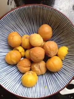 Make Chestnut step 1