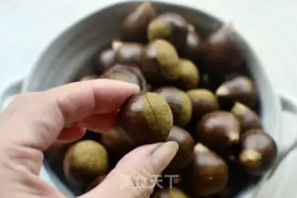 Make Chestnut step 0