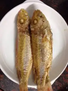 Make A red shirt fish step 3