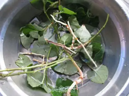 Make Fish herb tea step 0
