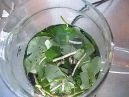 Make Fish herb tea step 2