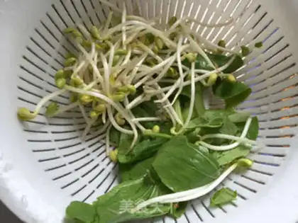 Make Oily noodles step 0