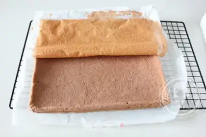 Make Cake roll step 11