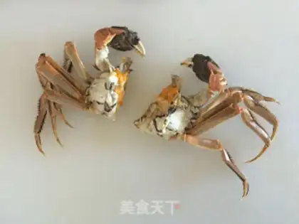 Make A fan of crabs step 5