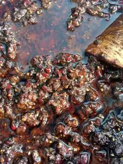 Make Beef sauce step 2