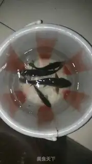 Make Creamfish step 0