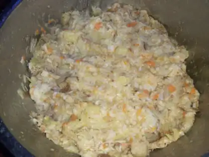 Make Basic homemade dog food step 8