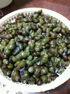 Make Hot snails step 0