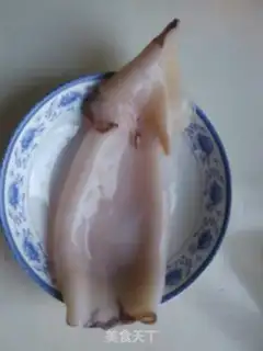 Make Squid step 0