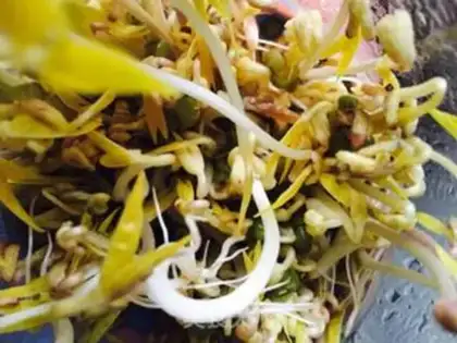 Make Green bean sprouts step 6