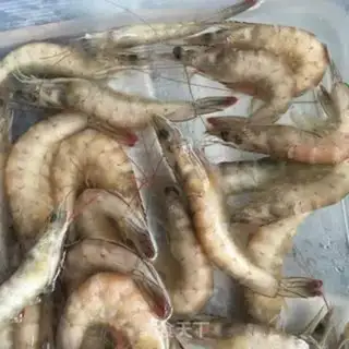 Make Shrimp bullshit step 1