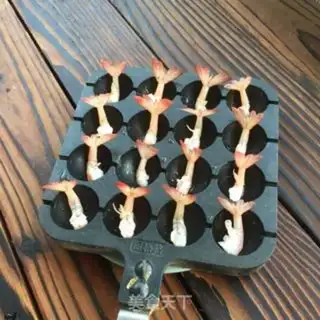 Make Shrimp bullshit step 8