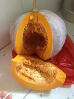 Make Pumpkin pie step 0