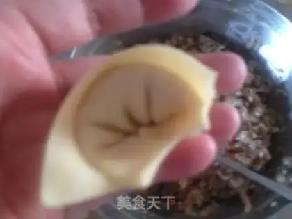 Make Frozen chicken step 12