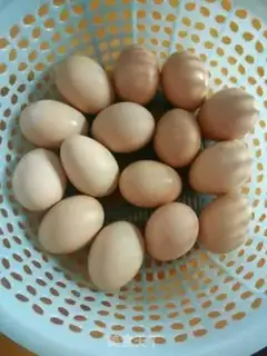 Make Tea eggs step 0