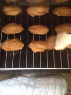 Make The honey is on the wings step 6