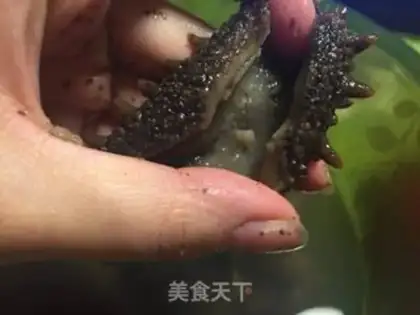 Make Bubble sea cucumber step 1