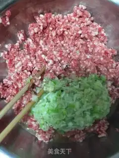 Make Beautiful dumplings step 2