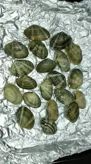 Make Garlic toads step 1