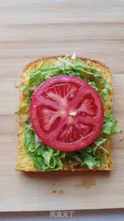 Make A sandwich step 4