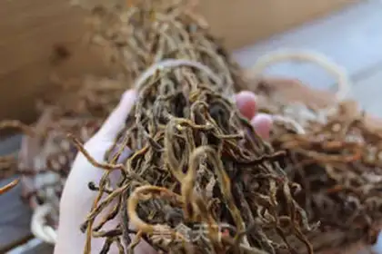 Make Dry beans step 5