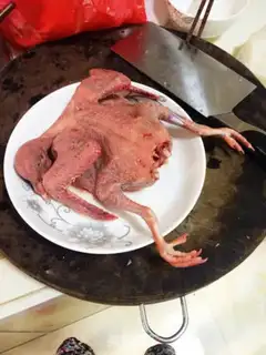 Make Cracked pigeons step 0