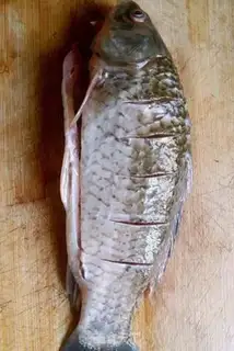 Make Beanfish step 1