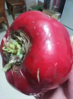 Make radish sprouts step 0