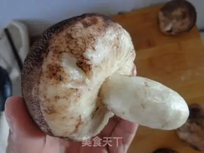 Make Mushroom bean bag step 9