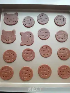 Make Crackers in digestive step 8